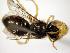 ( - Bee6-4)  @12 [ ] Copyright (2010) Unspecified Unspecified
