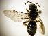  ( - Bee9-1)  @13 [ ] Copyright (2010) Unspecified Unspecified
