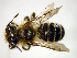  ( - Bee30)  @13 [ ] CreativeCommons - Attribution Non-Commercial Share-Alike (2010) Unspecified York University