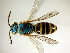  ( - Bee205)  @14 [ ] CreativeCommons - Attribution Non-Commercial Share-Alike (2010) Unspecified York University