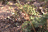  ( - 1B-2232)  @12 [ ] Unspecified (default): All Rights Reserved  Unspecified Unspecified
