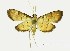  ( - USNM ENT 00933079)  @13 [ ] Unspecified (default): All Rights Reserved  Unspecified Unspecified