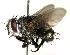  ( - DHJPAR0001099)  @14 [ ] Unspecified (default): All Rights Reserved  Unspecified Unspecified