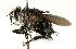  ( - DHJPAR0001116)  @15 [ ] Unspecified (default): All Rights Reserved  Unspecified Unspecified