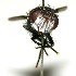  ( - DHJPAR0001118)  @13 [ ] Unspecified (default): All Rights Reserved  Unspecified Unspecified