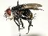  ( - DHJPAR0001179)  @14 [ ] Unspecified (default): All Rights Reserved  Unspecified Unspecified