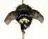 ( - DHJPAR0001181)  @14 [ ] Unspecified (default): All Rights Reserved  Unspecified Unspecified