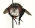  ( - DHJPAR0001182)  @14 [ ] Unspecified (default): All Rights Reserved  Unspecified Unspecified