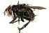 ( - DHJPAR0001193)  @14 [ ] Unspecified (default): All Rights Reserved  Unspecified Unspecified