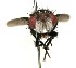  ( - DHJPAR0001194)  @14 [ ] Unspecified (default): All Rights Reserved  Unspecified Unspecified