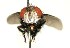  ( - DHJPAR0001197)  @14 [ ] Unspecified (default): All Rights Reserved  Unspecified Unspecified