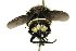  ( - DHJPAR0001206)  @14 [ ] Unspecified (default): All Rights Reserved  Unspecified Unspecified