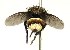  ( - DHJPAR0001207)  @14 [ ] Unspecified (default): All Rights Reserved  Unspecified Unspecified