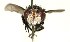  ( - DHJPAR0001216)  @13 [ ] Unspecified (default): All Rights Reserved  Unspecified Unspecified