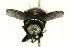  ( - DHJPAR0001217)  @13 [ ] Unspecified (default): All Rights Reserved  Unspecified Unspecified