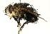  ( - DHJPAR0001240)  @13 [ ] Unspecified (default): All Rights Reserved  Unspecified Unspecified