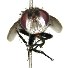  ( - DHJPAR0001249)  @12 [ ] Unspecified (default): All Rights Reserved  Unspecified Unspecified