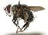  ( - DHJPAR0001260)  @14 [ ] Unspecified (default): All Rights Reserved  Unspecified Unspecified