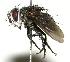  ( - DHJPAR0001261)  @14 [ ] Unspecified (default): All Rights Reserved  Unspecified Unspecified
