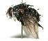  ( - DHJPAR0001721)  @14 [ ] Unspecified (default): All Rights Reserved  Unspecified Unspecified