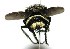  ( - DHJPAR0001740)  @13 [ ] Unspecified (default): All Rights Reserved  Unspecified Unspecified