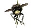  ( - DHJPAR0001784)  @13 [ ] Unspecified (default): All Rights Reserved  Unspecified Unspecified