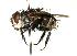  ( - DHJPAR0001796)  @14 [ ] Unspecified (default): All Rights Reserved  Unspecified Unspecified