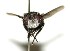  ( - DHJPAR0001842)  @14 [ ] Unspecified (default): All Rights Reserved  Unspecified Unspecified