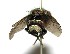  ( - DHJPAR0001907)  @13 [ ] Unspecified (default): All Rights Reserved  Unspecified Unspecified