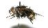  ( - DHJPAR0001908)  @14 [ ] Unspecified (default): All Rights Reserved  Unspecified Unspecified