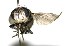  ( - DHJPAR0001934)  @14 [ ] Unspecified (default): All Rights Reserved  Unspecified Unspecified