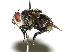  ( - DHJPAR0001939)  @14 [ ] Unspecified (default): All Rights Reserved  Unspecified Unspecified