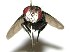  ( - DHJPAR0001970)  @14 [ ] Unspecified (default): All Rights Reserved  Unspecified Unspecified