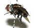  ( - DHJPAR0001970)  @14 [ ] Unspecified (default): All Rights Reserved  Unspecified Unspecified