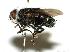  ( - DHJPAR0001982)  @14 [ ] Unspecified (default): All Rights Reserved  Unspecified Unspecified