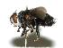  ( - DHJPAR0001990)  @14 [ ] Unspecified (default): All Rights Reserved  Unspecified Unspecified