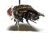  ( - DHJPAR0001994)  @14 [ ] Unspecified (default): All Rights Reserved  Unspecified Unspecified