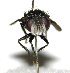  ( - DHJPAR0002083)  @14 [ ] Unspecified (default): All Rights Reserved  Unspecified Unspecified