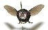  ( - DHJPAR0002104)  @14 [ ] Unspecified (default): All Rights Reserved  Unspecified Unspecified
