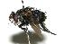  ( - DHJPAR0002131)  @14 [ ] Unspecified (default): All Rights Reserved  Unspecified Unspecified