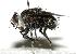  ( - DHJPAR0002140)  @14 [ ] Unspecified (default): All Rights Reserved  Unspecified Unspecified