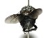  ( - DHJPAR0003599)  @13 [ ] Unspecified (default): All Rights Reserved  Unspecified Unspecified