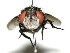  ( - DHJPAR0003600)  @14 [ ] Unspecified (default): All Rights Reserved  Unspecified Unspecified