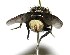  ( - DHJPAR0003600)  @14 [ ] Unspecified (default): All Rights Reserved  Unspecified Unspecified