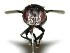  ( - DHJPAR0003641)  @14 [ ] Unspecified (default): All Rights Reserved  Unspecified Unspecified