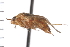  ( - CNC-HEM-0244)  @13 [ ] Copyright (2010) Unspecified Agriculture and Agri-Food Canada