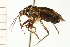  ( - CNC-HEM-1299)  @14 [ ] CreativeCommons - Attribution (2010) Unspecified Centre for Biodiversity Genomics