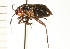  ( - CNC-HEM-1311)  @14 [ ] CreativeCommons - Attribution (2010) Unspecified Centre for Biodiversity Genomics