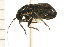  ( - CNC-HEM-1316)  @13 [ ] CreativeCommons - Attribution (2010) Unspecified Centre for Biodiversity Genomics