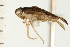  ( - CNC-HEM-1468)  @11 [ ] CreativeCommons - Attribution (2010) Unspecified Centre for Biodiversity Genomics